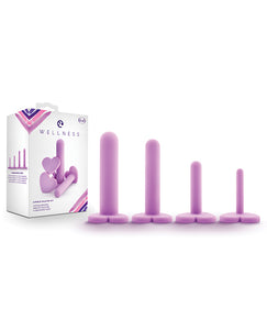Anal Products - Blush Wellness Dilator Kit - Purple